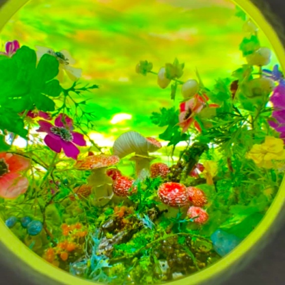 Meet your Posher, Laura - Picture 2 of 2